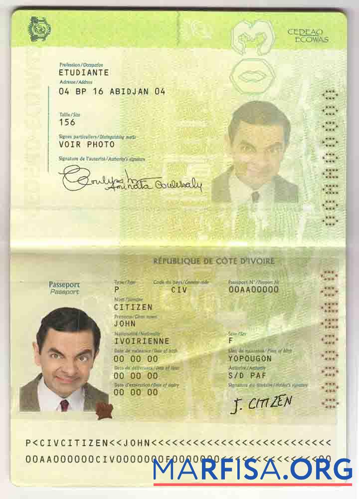 Blank Cote D’Ivoire passport real example